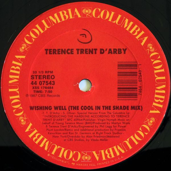 Terence Trent D'Arby Groovy 12" Coaster - Wishing Well (The Cool In The Shade Mix)