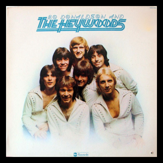 Bo Donaldson & The Heywoods Groovy Framed Album Cover - Bo Donaldson And The Heywoods (record included)