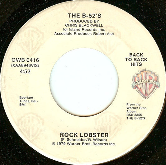 The B-52's Groovy Coaster - Rock Lobster