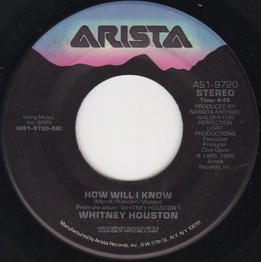 Whitney Houston Groovy Coaster - How Will I Know