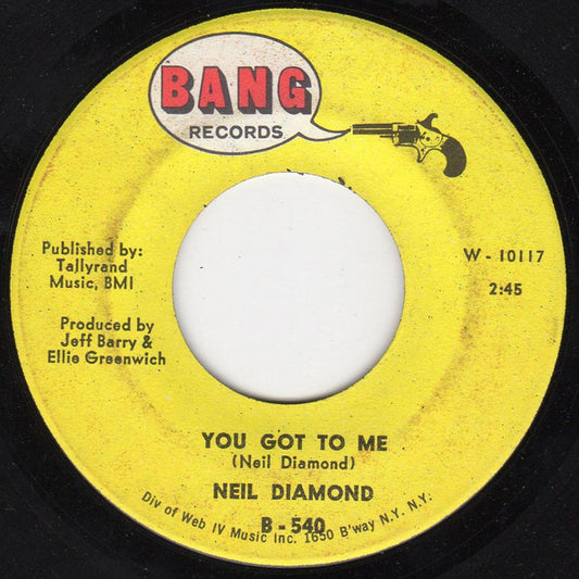 Neil Diamond Groovy 45 Coaster - You Got To Me