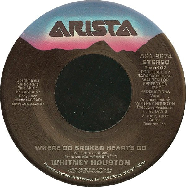 Whitney Houston Groovy Coaster - Where Do Broken Hearts Go
