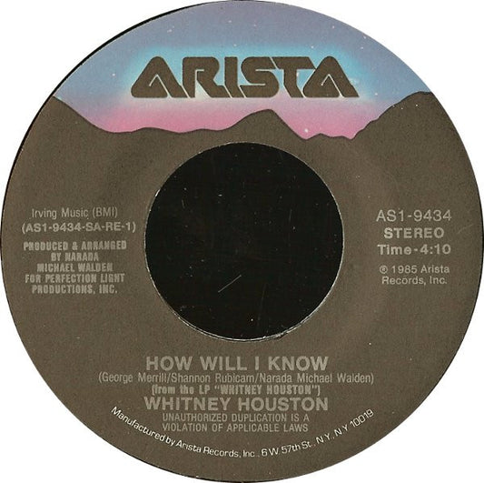 Whitney Houston Groovy Coaster - How Will I Know